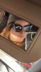 Mirror selfie style picture taken in the car visor mirror. Woman wears black sunglasses, grey beanie and has blonde-brown hair. Her phone peaks in slightly from the right hand side.